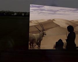 伤城之恋 封面图